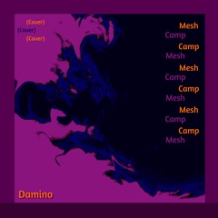 Mesh Camp (Cover)
