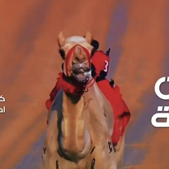 ‎⁨أسعد البطحري - هجن الرئاسة  والزمط شروا شفرة السيف (حصرياً)  2020⁩.m4a