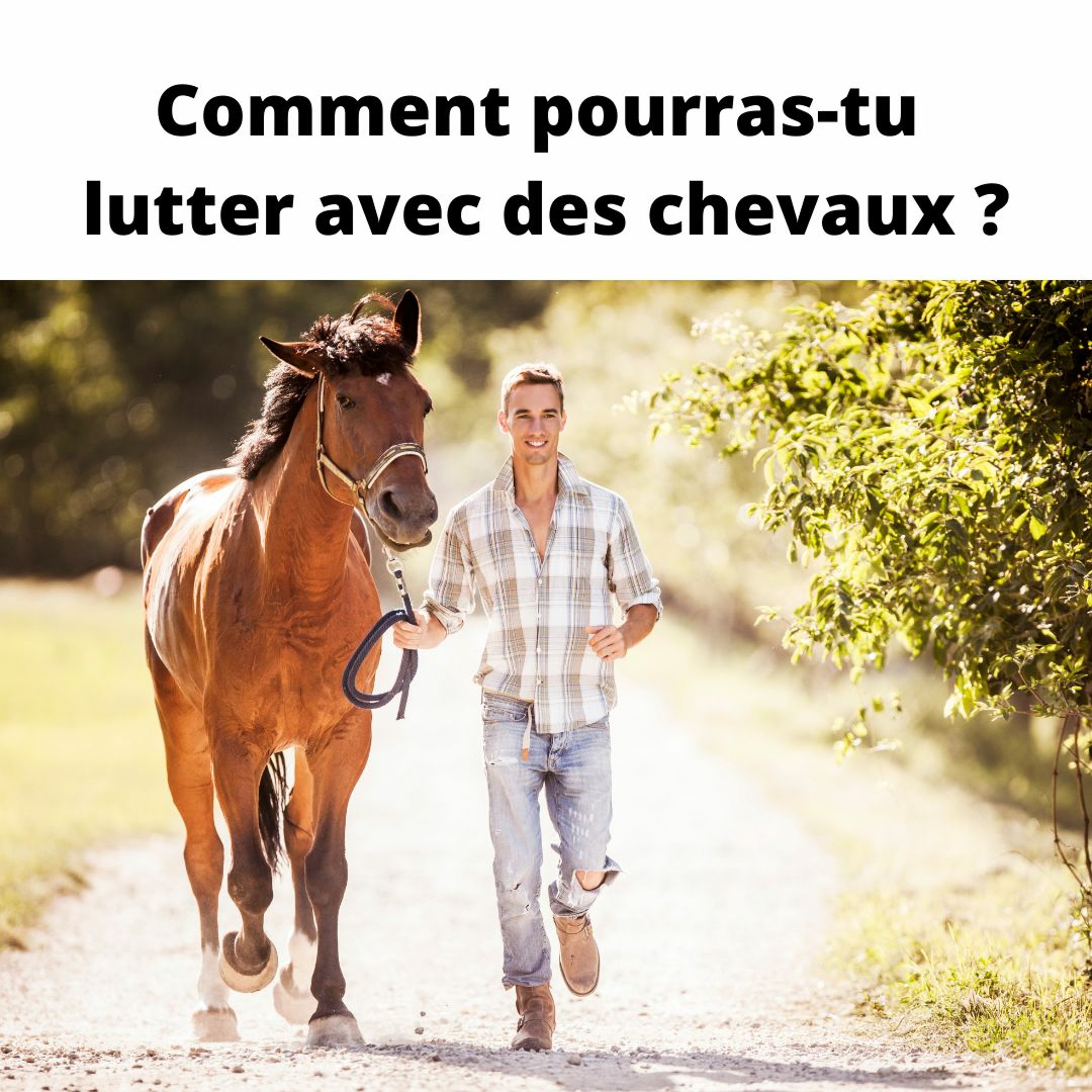 365Histoires