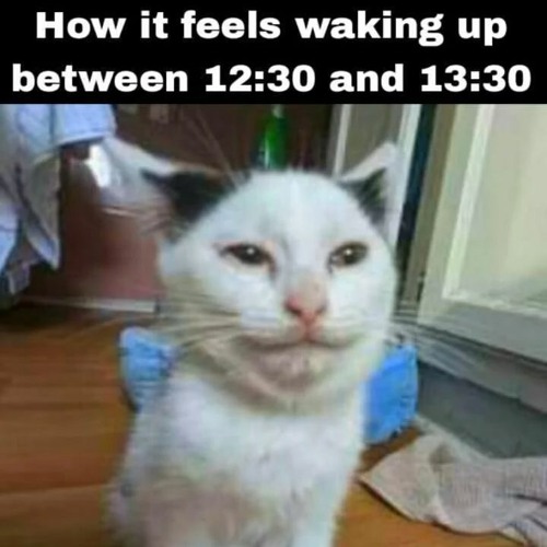 delayed sleep ost