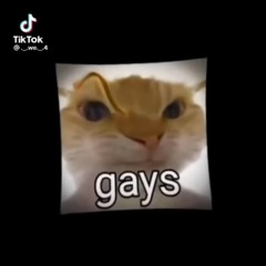 SAD CAT DANCE - Animation Meme by Kjlm4567 