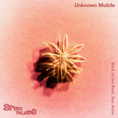 Back of the Rack 002 - Unknown Mobile