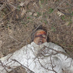 твой маленький трупик (prod. by greyrock, rayx and me)