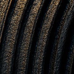 The Great Oscillator