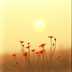 Second Sunrise
