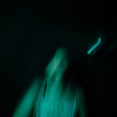 WRITING LETTERS TO A SHAPESHIFTER