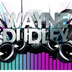 Wayne Dudley & Fatfly Classic House And Electro Mash Up