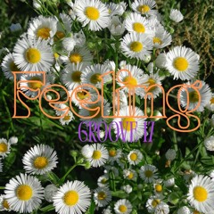 Funky House mix by Da Audio / Feeling Groove vol. 17