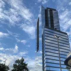 Skylink - Evolution