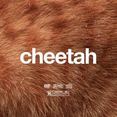 (FREE) | "Cheetah 🐆" | Rema x Burna Boy x Omah Lay Beat | Free Beat | Afrobeat Instrumental 2024