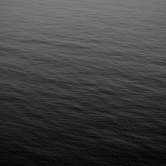 THE WAVE ARCHIVE [2012-2021]