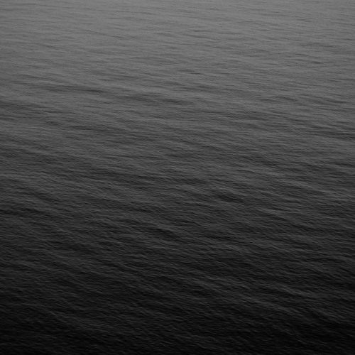 THE WAVE ARCHIVE [2012-2021]