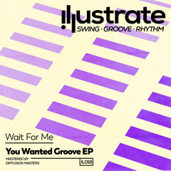 You Wanted Groove