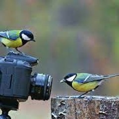 The Rhythm Of A Photographer