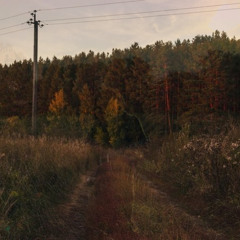 Як сяде літнє сонце