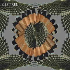 Kestrel