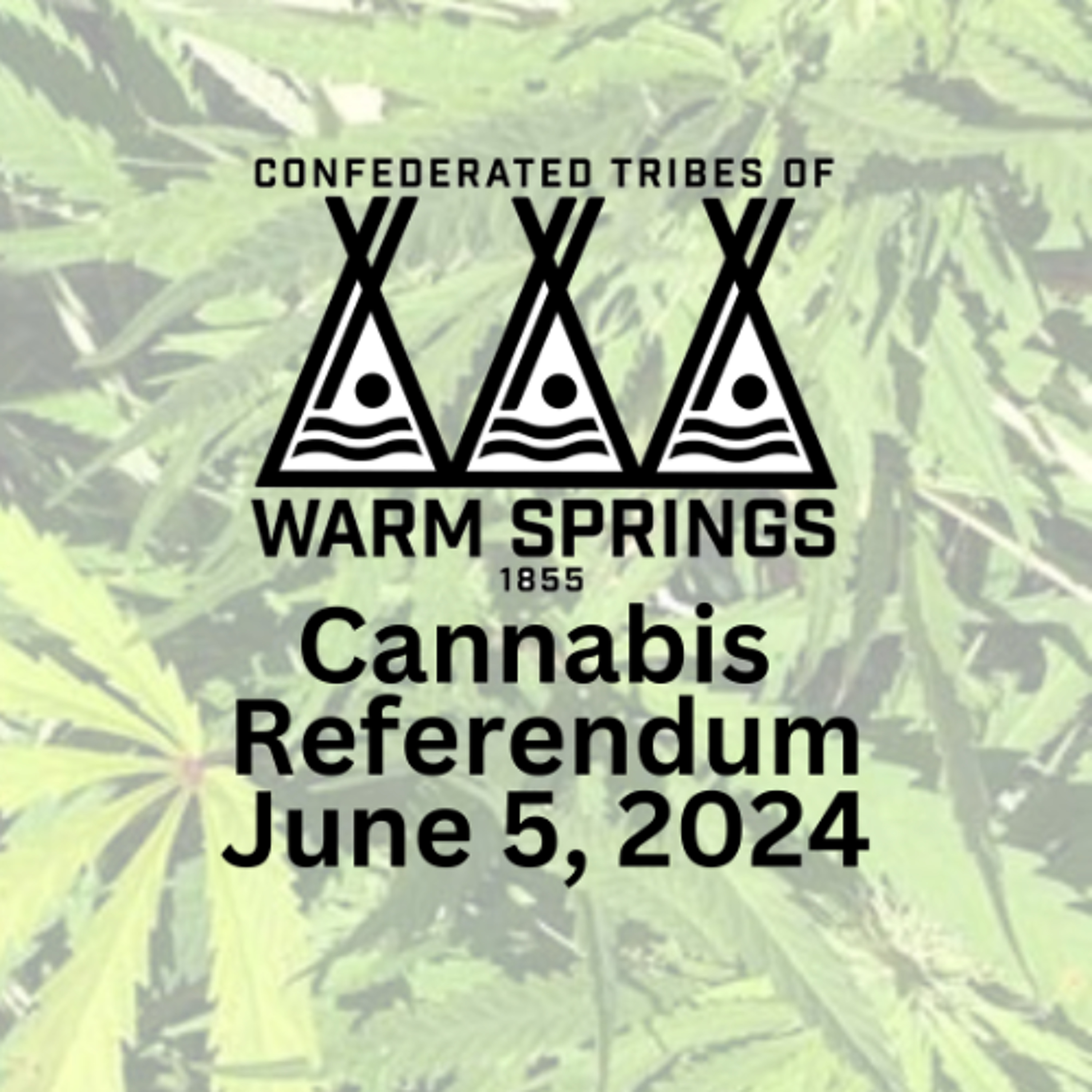 CTWS June 5 2024 Cannabis Referendum - KWSO Our People & Mother Earth Program Podcast episode artwork