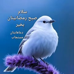 ربنا اننا سمعنا منادی.mp3