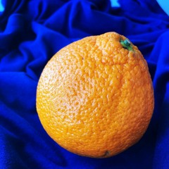 GORDON: La terre est bleue comme une orange No. 2 (for one string quartet)