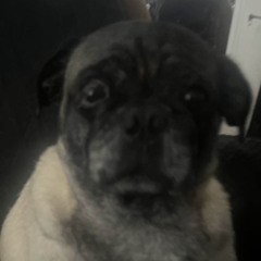 Serato Recording 349