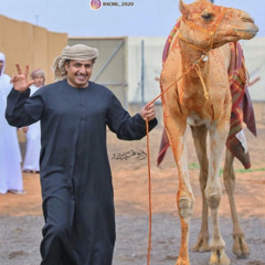 سفير الاصالة x فهد بن فصلا و شبل الدواسر x هجن الدكتور راشد بالزفنه