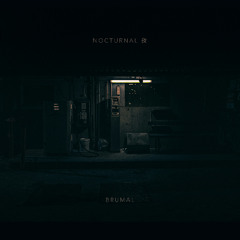 Logic23 x Brumal - Never Let Me Go