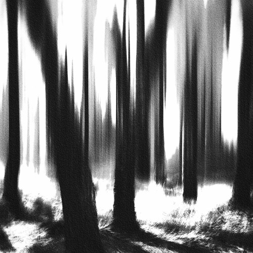 EVERYTHING CHANGES (SoundCloud Exclusive)