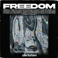 Alle Farben X Craig David - Freedom (Brezzix Mashup)