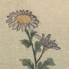 Untitled 4 (Reworked Version)