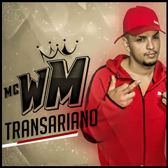 Transariano