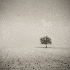 Wandering beneath a grey sun (Dark Ambient vault)