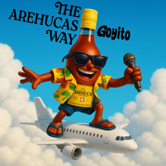 AUDIO-2025-05-15-21-11-01
