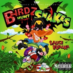 Sauce Walka - ''Birdz Hunt Snakes"