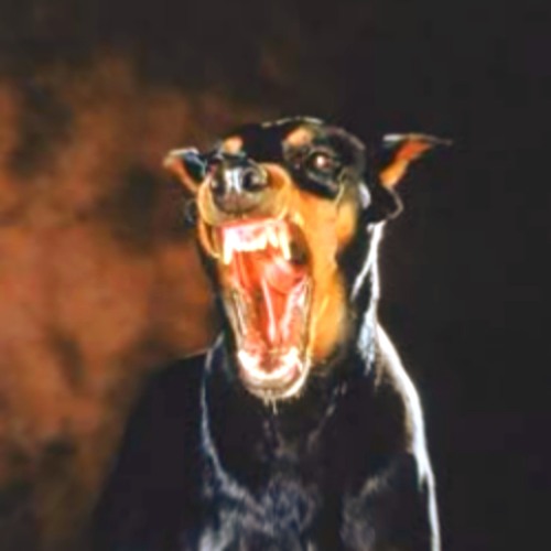 ALL THEY WANT IS MONEY