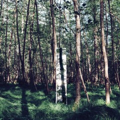 Apanorama - Radio Kodama (Aliiwen & Day Out Of Time Cover) [KRN02]