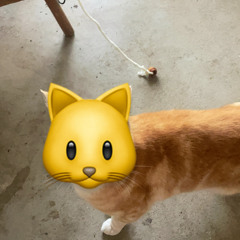 aa