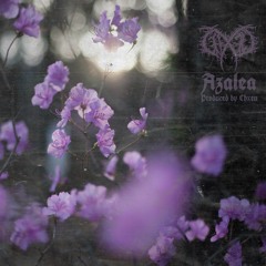 AZALEA [PROD. CHXEU]