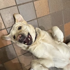 Summer 2025⚡️🆙