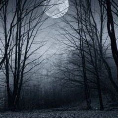 The Unexplained in South Carolina