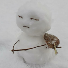 하시발..