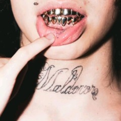 BAGRE MIX POR EL CHILENO