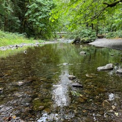 Goldstream River (Saanich: sʔə́ləq̕ʷtəɬ)