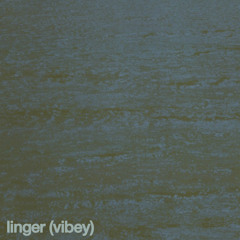 Linger (Vibey)