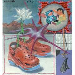 declaración de principios