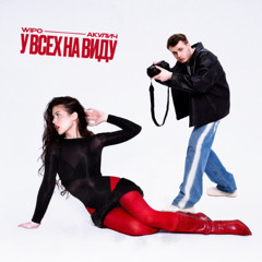 У ВСЕХ НА ВИДУ (feat. Wipo)