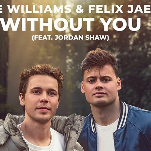 Mike Williams & Felix Jaehn - Without You (RasseSippe Remix)