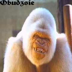 opjum jest gorsze niz chjwy records bo my mamy wiecej aury skubert