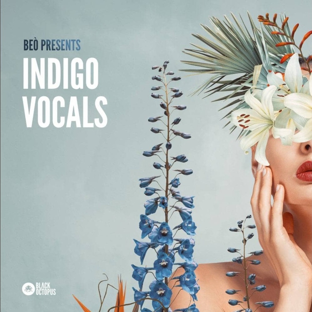 Stream Beò Presents Indigo Vocals (Demo) by Modern Producers | Listen ...