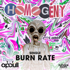 Burn Rate (Flame Out mix)