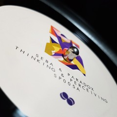 Seba & Paradox - 'Thinking & Perceiving' - (Seba & Paradox 12" 005)